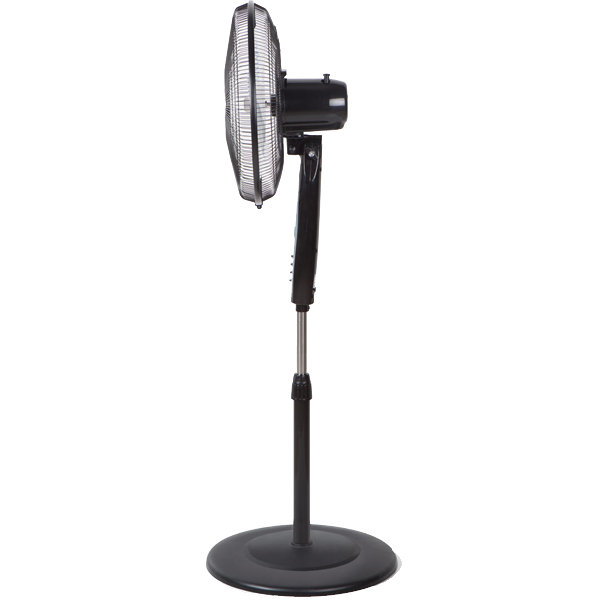 https://bo.mateusefilhos.pt/FileUploads/Produtos/mateus-e-filhos-62348_2.png