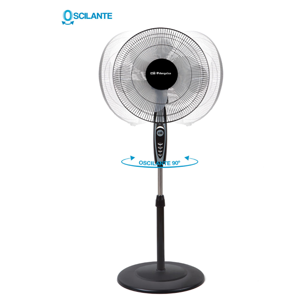 https://bo.mateusefilhos.pt/FileUploads/Produtos/mateus-e-filhos-62348_3.png