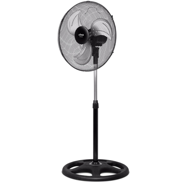 https://bo.mateusefilhos.pt/FileUploads/Produtos/mateus-e-filhos-78683_1.png