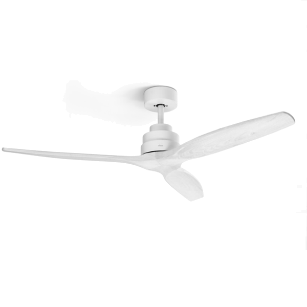 https://bo.mateusefilhos.pt/FileUploads/Produtos/mateus-e-filhos-83065_1.png