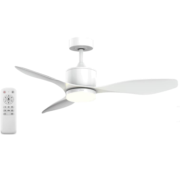 https://bo.mateusefilhos.pt/FileUploads/Produtos/mateus-e-filhos-83066_1.png