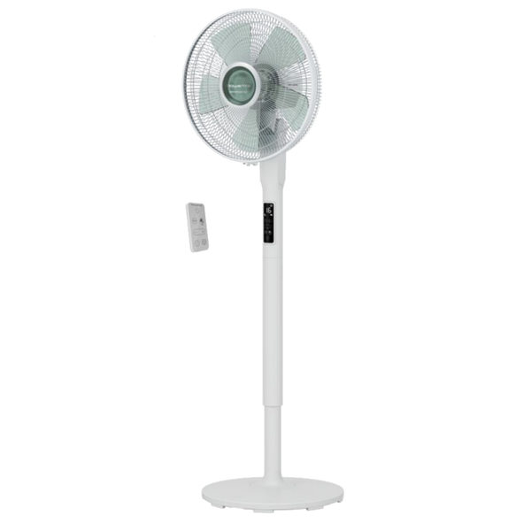 https://bo.mateusefilhos.pt/FileUploads/Produtos/mateus-e-filhos-83169_1.png