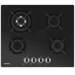 PLACA TAURUS - GC4HN