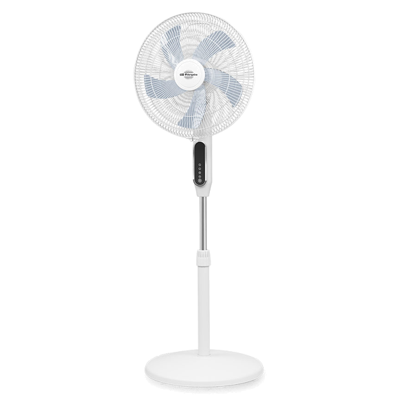 https://bo.mateusefilhos.pt/FileUploads/Produtos/mateus-e-filhos-86837_1.png